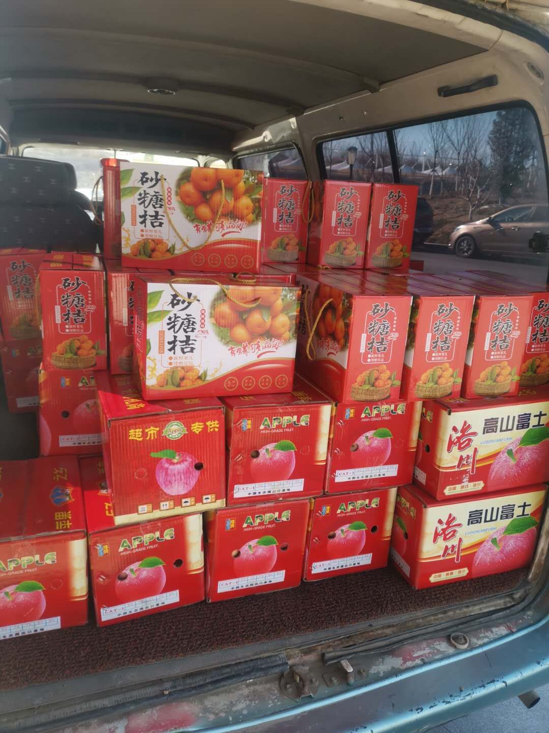 优发国际-随优而动一触即发