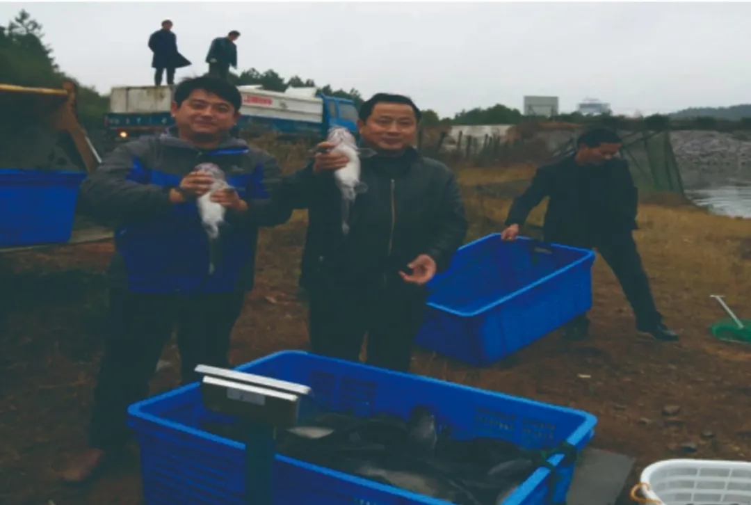 优发国际-随优而动一触即发