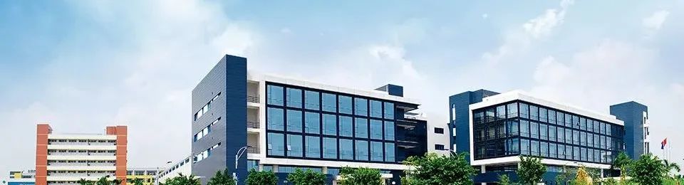 �ŷ�����-���Ŷ���һ������