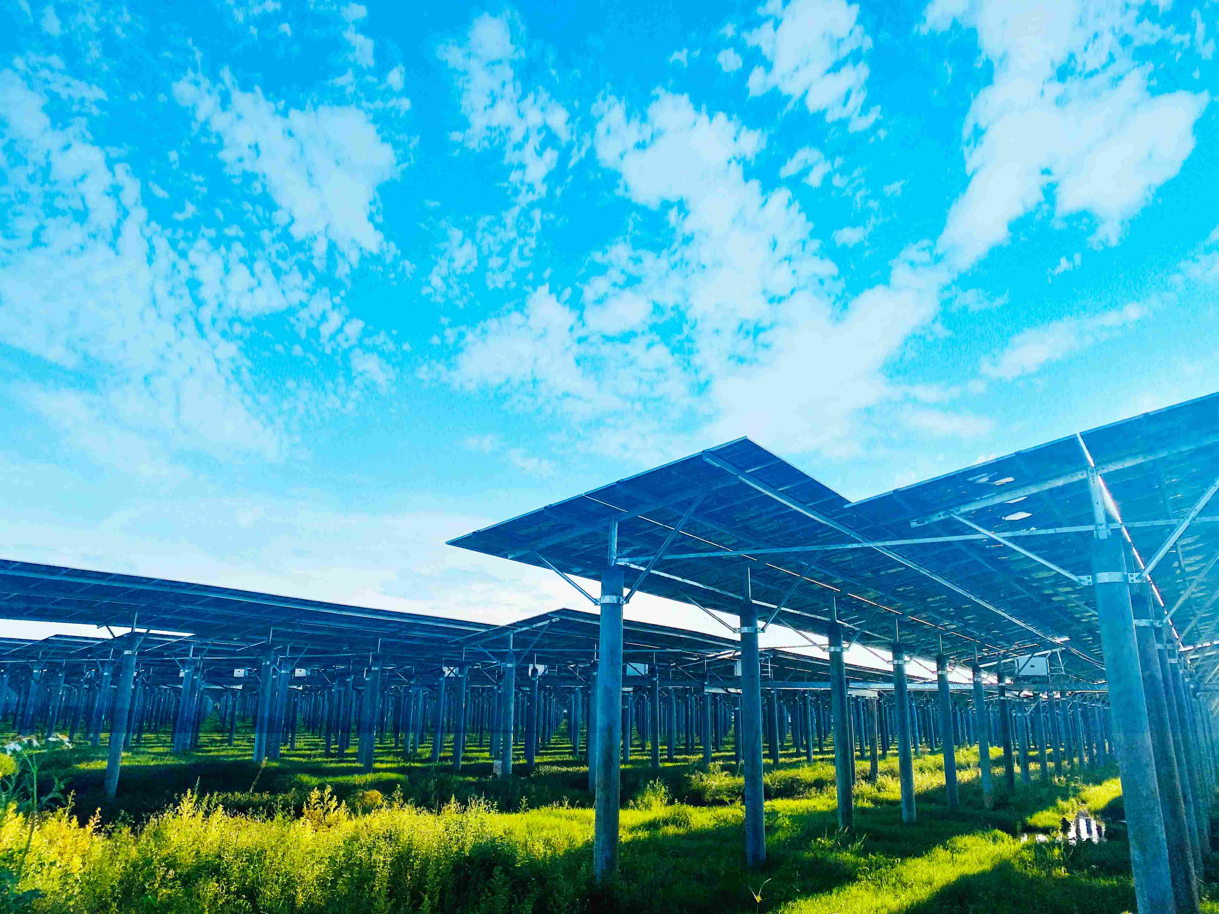 �ŷ�����-���Ŷ���һ������